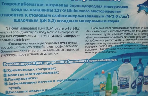 Gelendzhik House | Guest House BERDIKOF