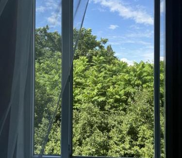 Kobuleti House | Guest house Gio