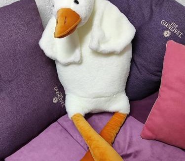Almaty Bed & Breakfast | Guest house Gosling