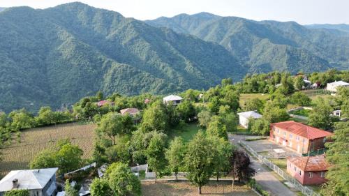 Adjara House | Guest House in the mountaims Gocha