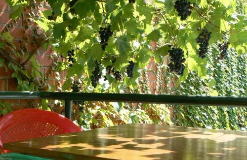 Gelendzhik House | Guest house Irina