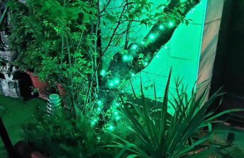 Golubye Dali House | Guest House Lazurny Briz