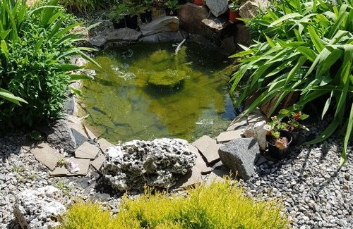 Volgodonsk House | Guest House Liza