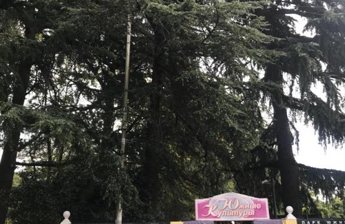 Adler City Centre House | Guest House Lyubimy