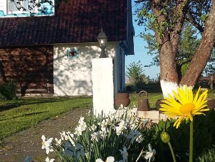 Suzdal House | Guest House Na Mikhalyakh