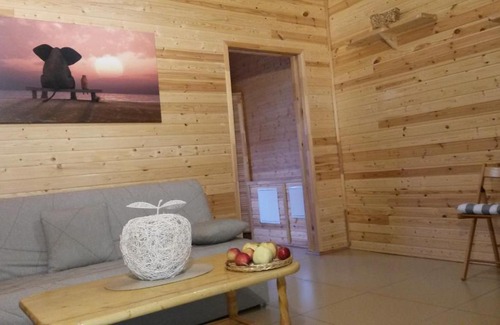 Pskov House | Guest House on Larkina 16