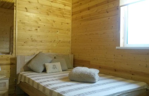 Pskov House | Guest House on Larkina 16