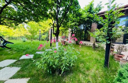 Telavi House | Guest house poligloti