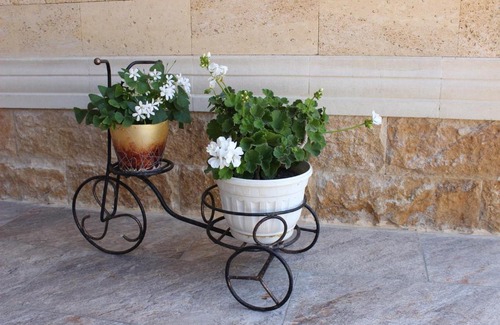 Golubye Dali House | Guest House "Shafran"