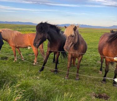 Rangarþing ytra House | Guest House Svetlana