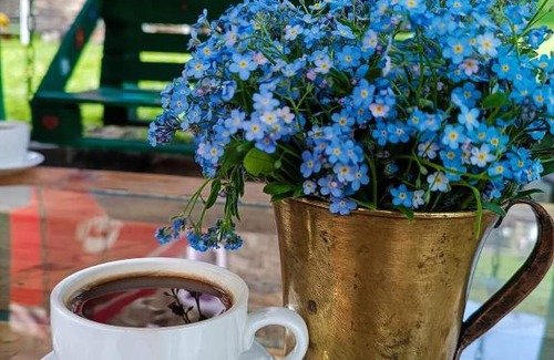 Roshka House | Guest House Temi In Gudani