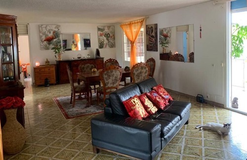 Gourbeyre Bed & Breakfast | Guest room in air-conditioned family villa with private swimming pool