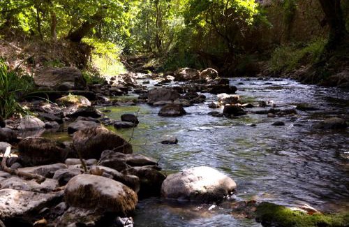 Kalavrita House | Guesthouse Eleftherios