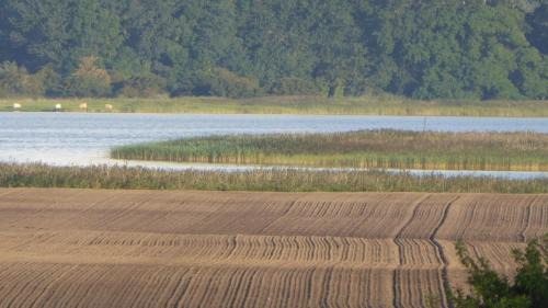 Gingst Apartment | Gut Rattelvitz, Parterre A OST