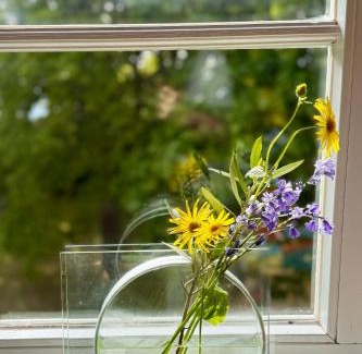 Gingst Apartment | Gutshaus Haidhof