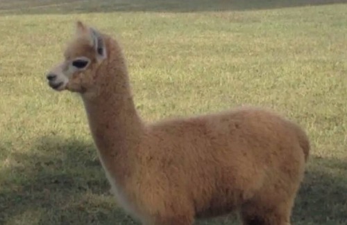 Benton Bed & Breakfast | Gypsy Haven A home away from home !