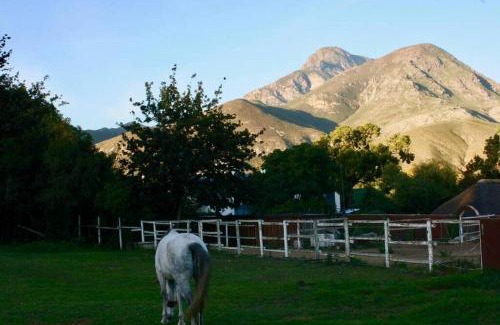 Greyton Apartment | Gypsy Mama in Greyton