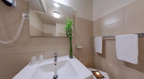 Ajaccio Hotel | Hôtel Albion
