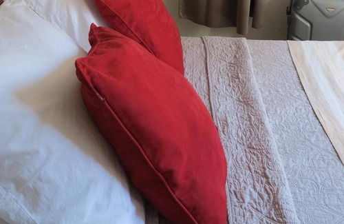 Thiers Hotel | Hôtel de l' Ariana