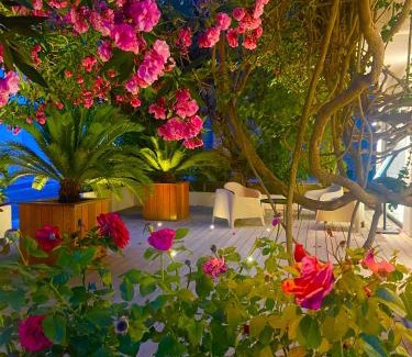 Porto-Vecchio Hotel | Hôtel Le Mistral