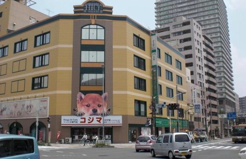 Hachioji Hotel | Hachioji Sky Hotel - Vacation STAY 08527v