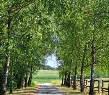 Heiligenkreuz im Lafnitztal Bed & Breakfast | Hacienda del Piero