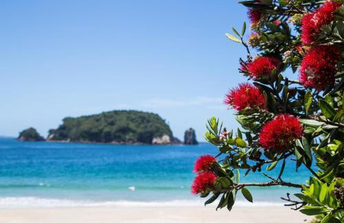 Hahei Resort | Hahei Beach Resort