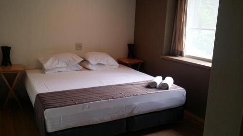 Hakuba Cabin | Hakuba Haven Lodge