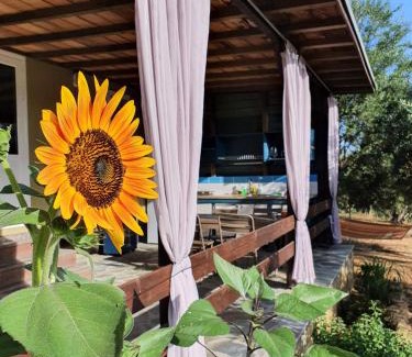 Pylos-Nestoras Cabin | Hakuna Matata Holidays Agalia with airco & pool in Greek Olive Grove