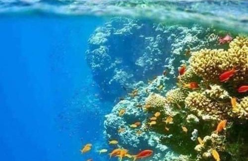 St. Catherine Apartment | Half Moon - Sunny Dahab resort