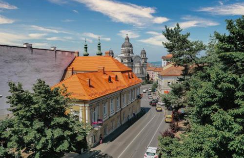 Tirgu Mures Hotel | Haller Boutique