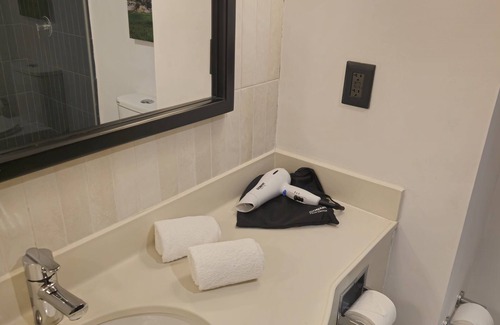Torreon Hotel | Hampton Inn by Hilton Torreon-Airport Galerias