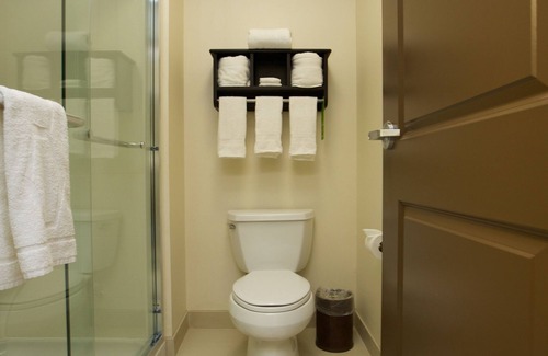 Missouri City Hotel | Hampton Inn & Suites Missouri City, TX