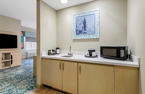 St. Petersburg Hotel | Hampton Inn & Suites St. Petersburg/Downtown