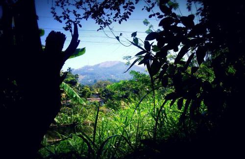 Peradeniya House | Haniffas Holiday Inn