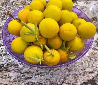 Varnville House | Hank and Margie's Place