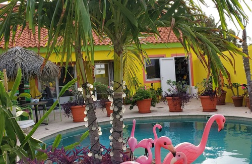 Punto de Oro Resort | Happy Days, accommodation, Aruba, apartment, cozyfamily and pet friendly