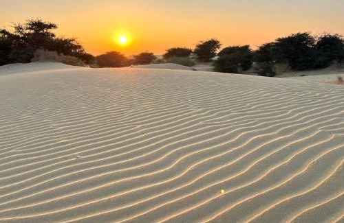 Amar Sagar Pol Other | Happy Earth safari