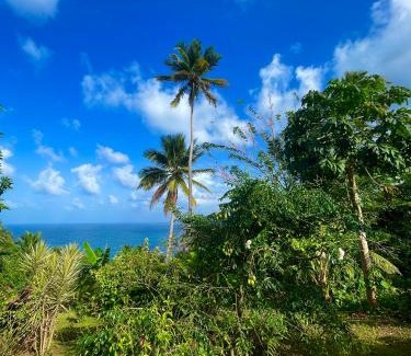 Marigot Apartment | Happy-Nest (First floor)