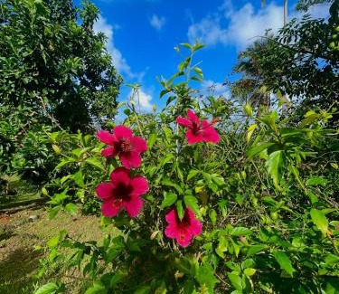 Marigot Apartment | Happy-Nest (First floor)