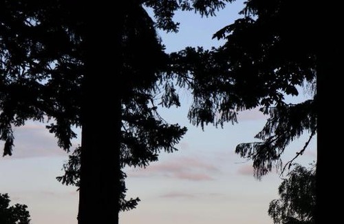 Oatfield Bed & Breakfast | Happy Rock Inn