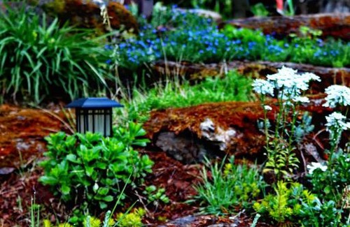 Oatfield Bed & Breakfast | Happy Rock Inn