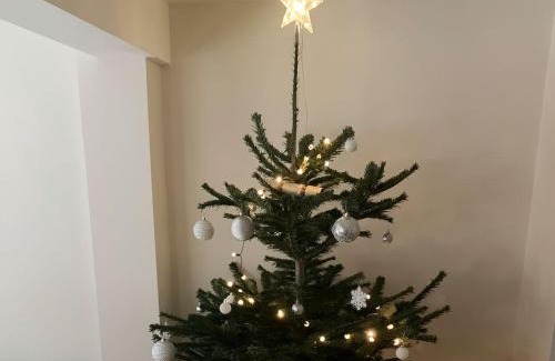City Centre House | Hare Bee & Bee