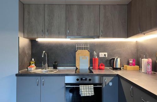 Ovcha Kupel Apartment | Harmony apartment