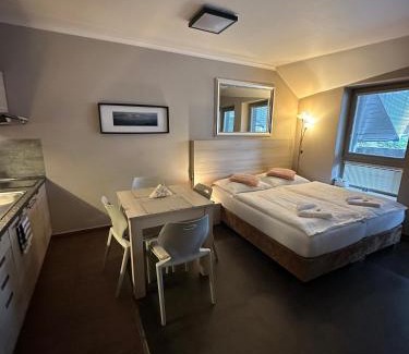 Harrachov Apartment | Harrachov Resident Apartments "Terrace & Chill" - high speed WiFi, možnost snídaně, Smart TV, Netflix, Disney plus