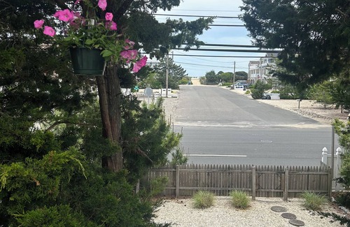 Harvey Cedars House | Harvey Cedars - great location-dog friendly! 5 star rating from previous guests