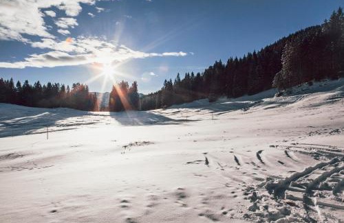 Spitzingsee House | Hasenalm