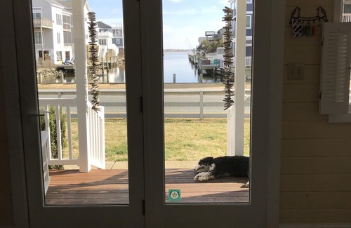 Bethany Beach House | "Hassell" Free Beach House