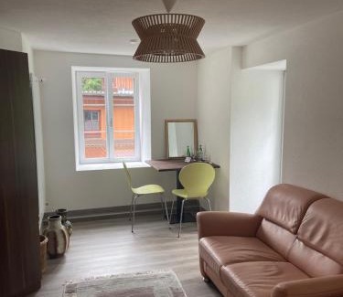 Wassen Apartment | Haus Alpenhof