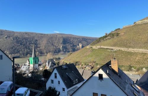 Mainz-Bingen Apartment | Haus am Weinberg